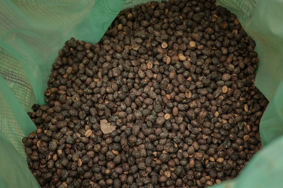An image of Colombian coffee beans