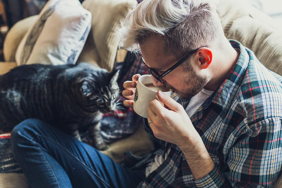 A cat that wants to drink from the coffee