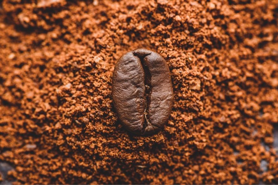 A close-up whole coffee bean surrounded by grind coffee beans placed on a blue surface