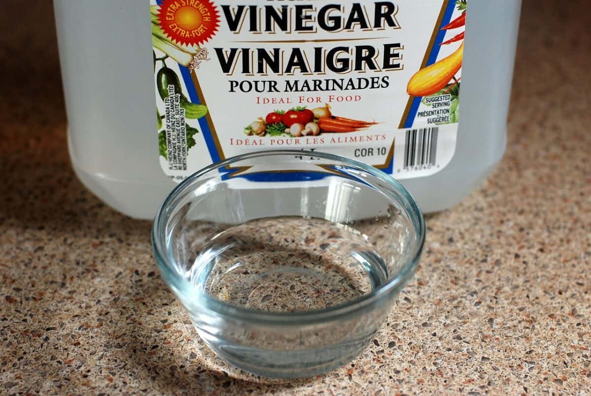 A white vinegar in a small bowl placed on the countertop in the kitchen